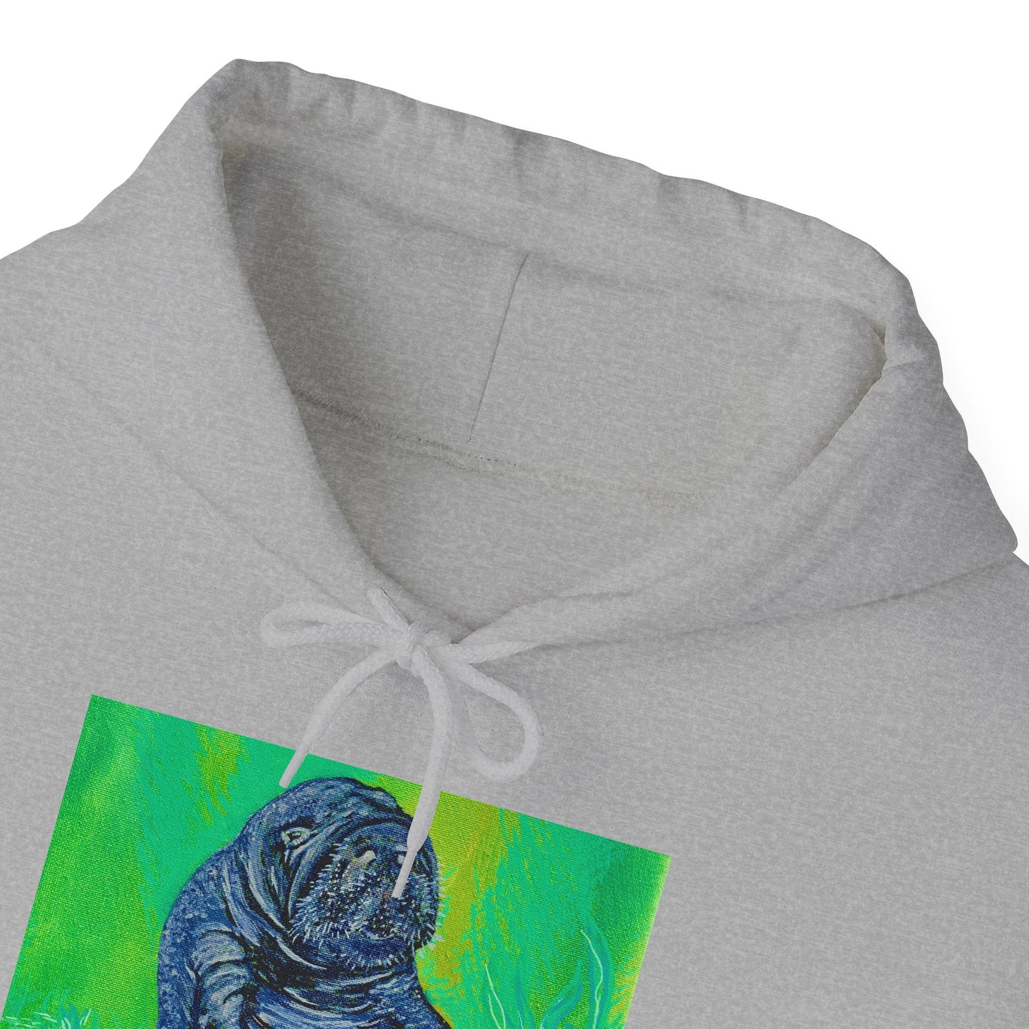 A Bright Future for the Manatee Unisex Heavy Blend™ Hooded Sweatshirt