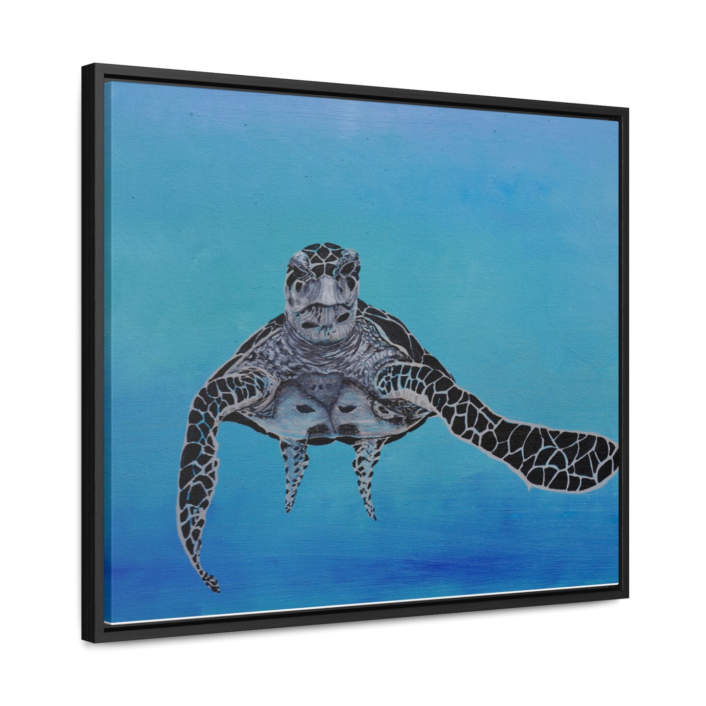 Black White and Blue Turtle Painting Print Gallery Canvas Wraps, Horizontal Frame