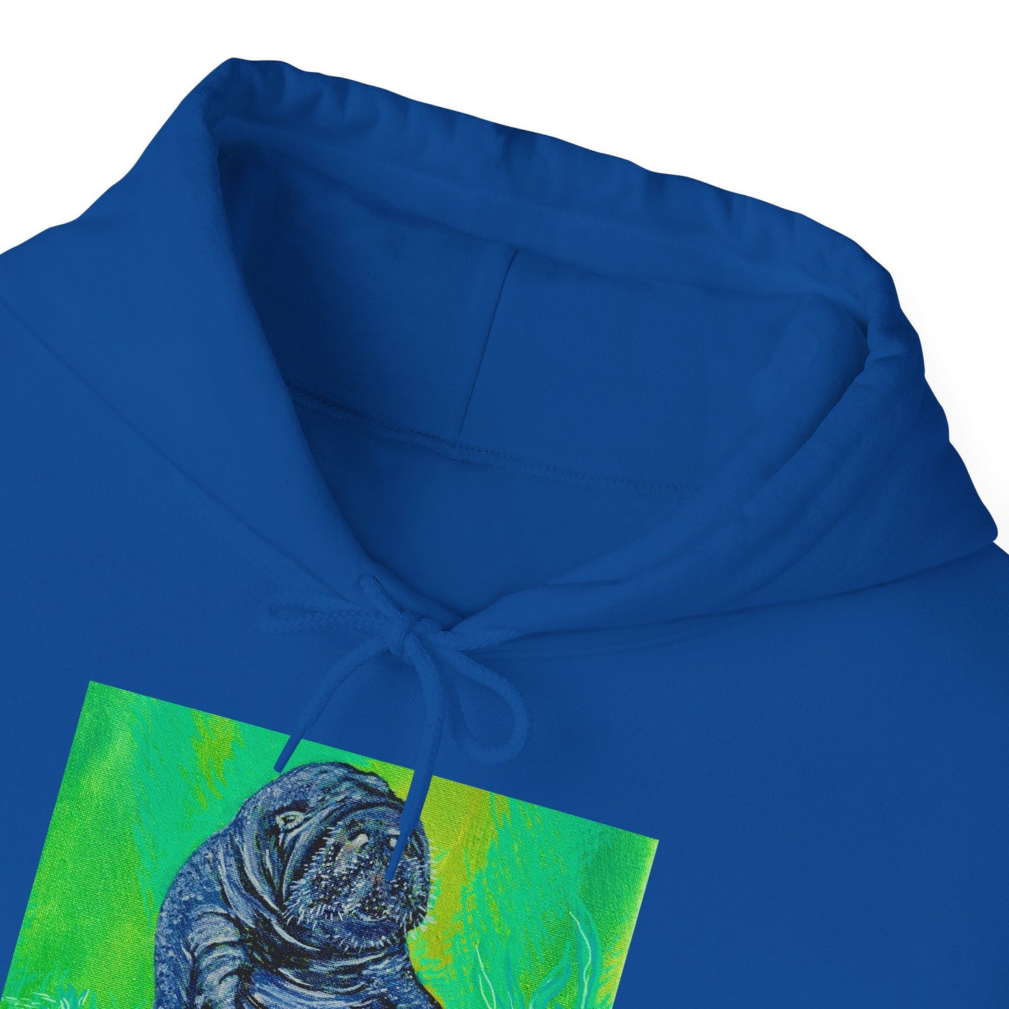 A Bright Future for the Manatee Unisex Heavy Blend™ Hooded Sweatshirt